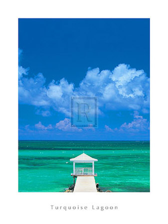 Turquoise Lagoon Print Turquoise Lagoon Print
