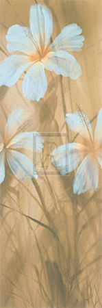 White Hibiscus I Print White Hibiscus I Print
