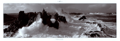 Ecume de Mer Print Ecume de Mer Print
