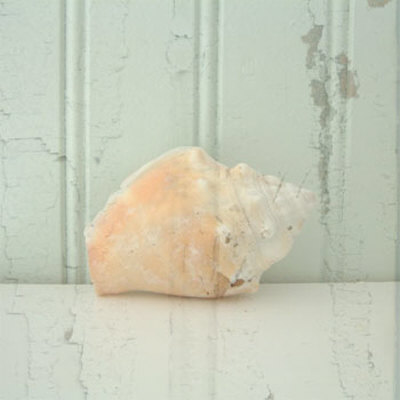Sea Still III Print Sea Still III Print
