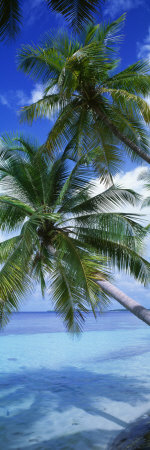 Maldives Photographic Print Maldives Photographic Print