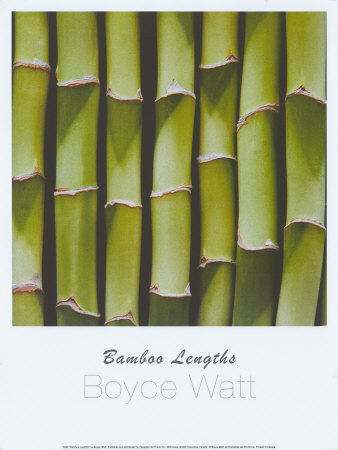 Bamboo Lengths Print Bamboo Lengths Print
