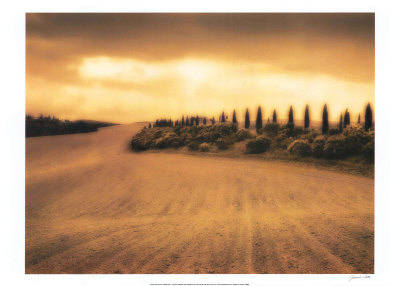 Cypress Study - Tuscany Print Cypress Study - Tuscany Print
