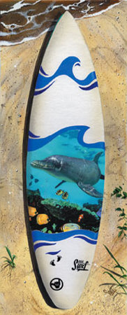 Dolphin Board Print Dolphin Board Print