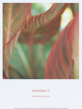 Vermillion II Print Vermillion II Print