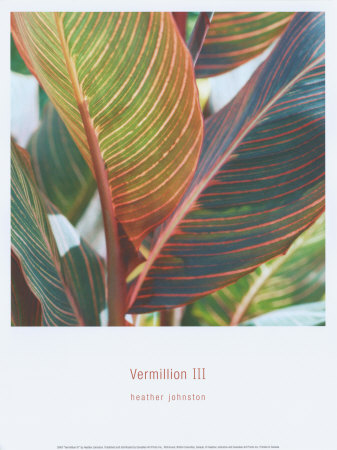 Vermillion III Print Vermillion III Print