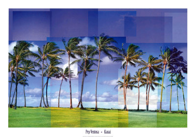 Kauai Print Kauai Print