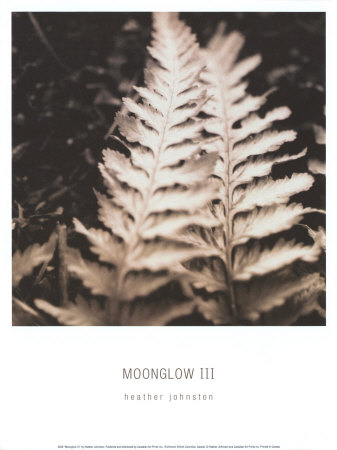 Moonglow III Print Moonglow III Print