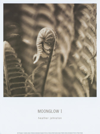 Moonglow I Print Moonglow I Print