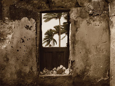 Palm View I Print Palm View I Print
