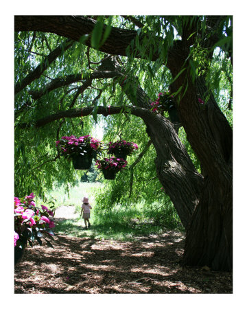 Secret Garden II Other Secret Garden II Other