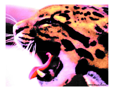 Cheetah Please Giclee Print Cheetah Please Giclee Print