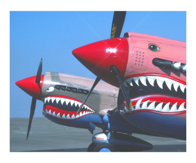 2 p-40's - Tiger's Teeth Photographic Print 2 p-40's - Tiger's Teeth Photographic Print