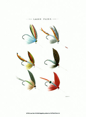 Lake Flies II Print Lake Flies II Print