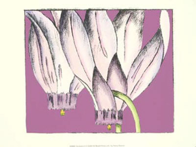 Cyclamen II Print Cyclamen II Print