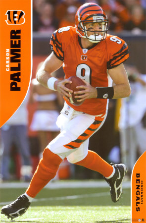Carson Palmer Poster Carson Palmer Poster