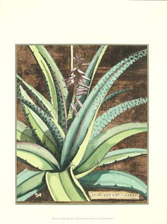 Graphic Aloe III Print Graphic Aloe III Print