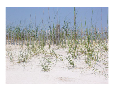 Beach Fence Photographic Print Beach Fence Photographic Print