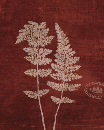 Leaf Study III Print Leaf Study III Print
