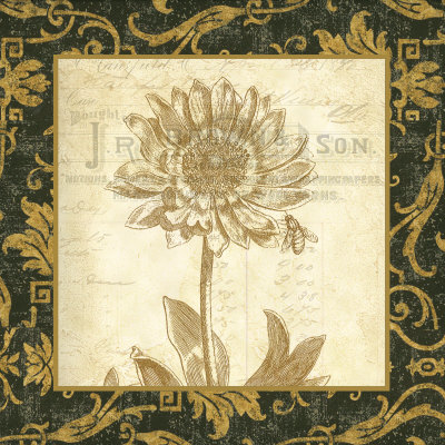 Anemone Print Anemone Print