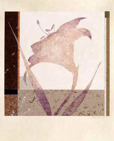 Lily Print Lily Print