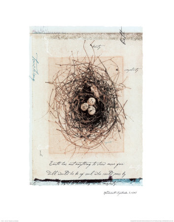 Bird's Nest Print Bird's Nest Print
