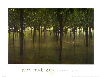 Revitalize: Forest Print Revitalize: Forest Print