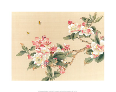 Apple Blossoms Print Apple Blossoms Print