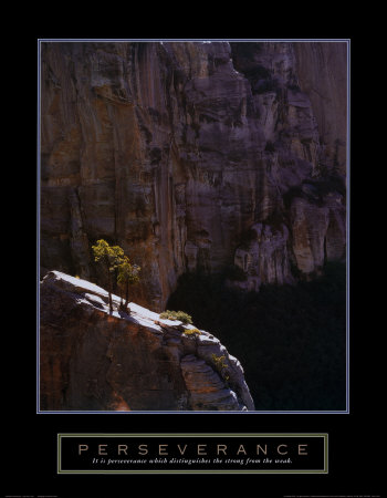 Perseverance: Lone Pinyon Tree Print Perseverance: Lone Pinyon Tree Print