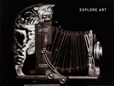 Explore Art Print Explore Art Print