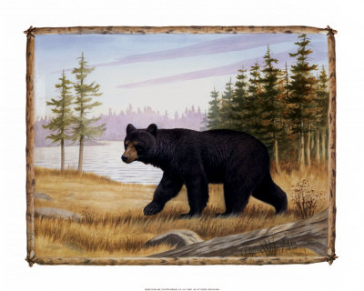 Majestic Bear Print Majestic Bear Print