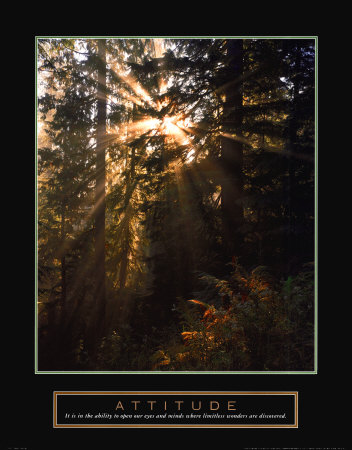 "Attitude: Forest Light" Print "Attitude: Forest Light" Print