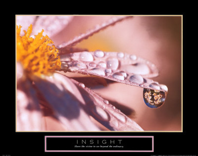 Insight: Dew Drop Print Insight: Dew Drop Print