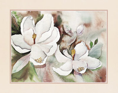 Magnolia Blooms Print Magnolia Blooms Print