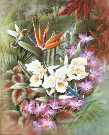 In the Tropics Print In the Tropics Print