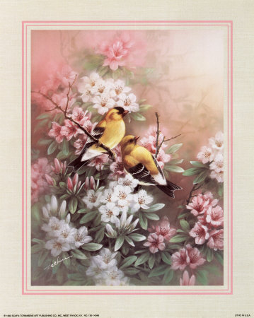 Yellow Finches Print Yellow Finches Print