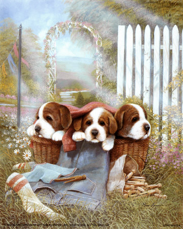 Puppies in Basket Print Puppies in Basket Print