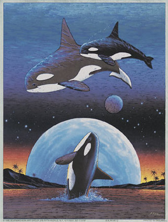 Orcas over the Moon Print Orcas over the Moon Print