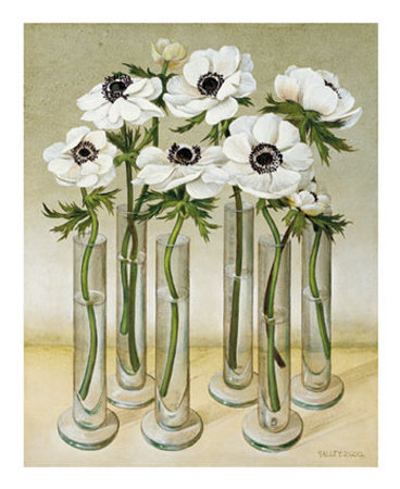 White Anemones Print White Anemones Print