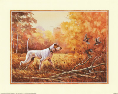 Hunting Dog Print Hunting Dog Print