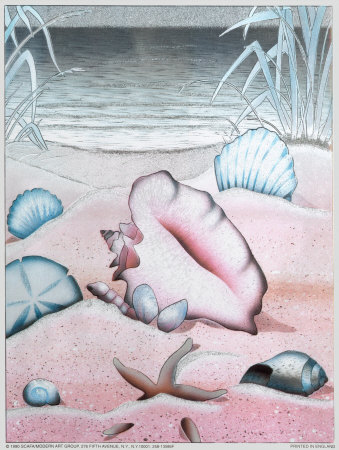 Seashells Print Seashells Print