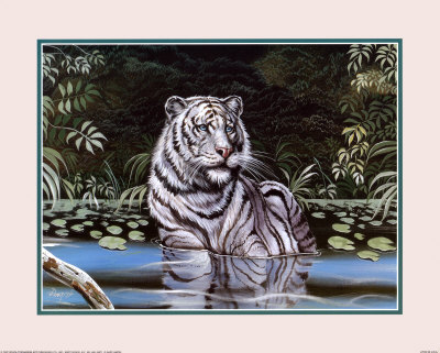 Wading White Tiger Print Wading White Tiger Print