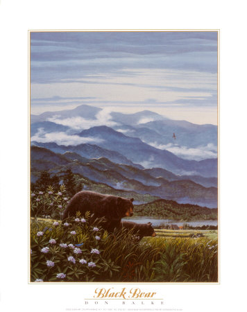 Black Bear Print Black Bear Print