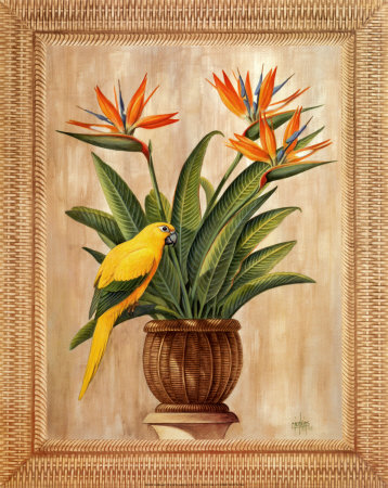 Bird of Paradise Print Bird of Paradise Print