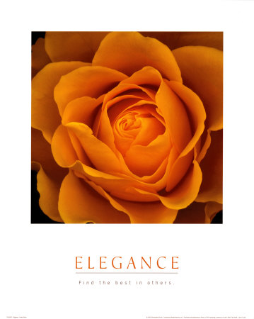 Elegance Print Elegance Print