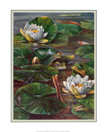 Frog in Lily Pond Print Frog in Lily Pond Print