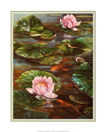 Koi with Lily Pond Print Koi with Lily Pond Print
