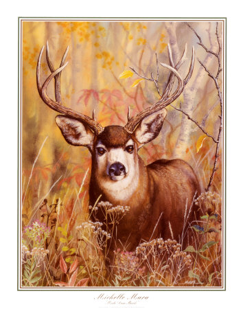 Buck in Forest Print Buck in Forest Print