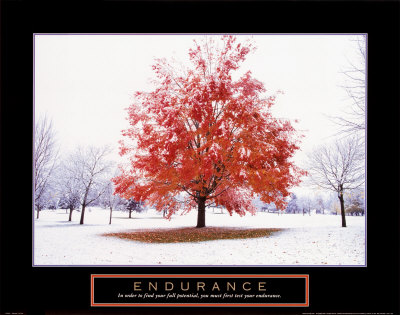Endurance: Fall Tree Print Endurance: Fall Tree Print