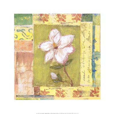 Magnolia Bloom Print Magnolia Bloom Print